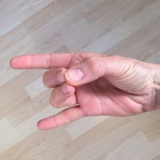 anandaioga_apan_mudra