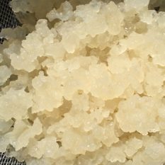 anandaioga_kefir_aigua