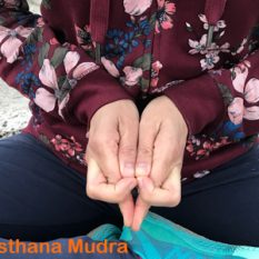 anandaioga_swadhisthana_mudra