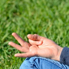 anandaioga_vayu_mudra